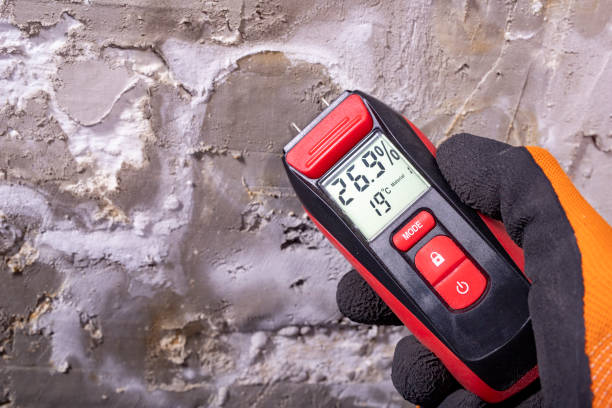 Gilman, IL Mold Removal Company