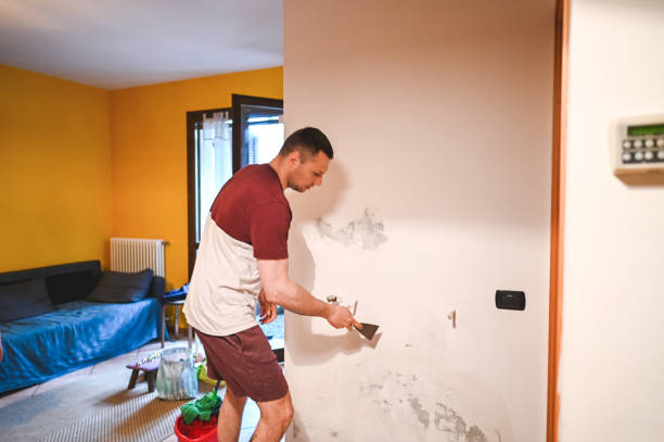Best Certified Mold Removal  in Gman, IL