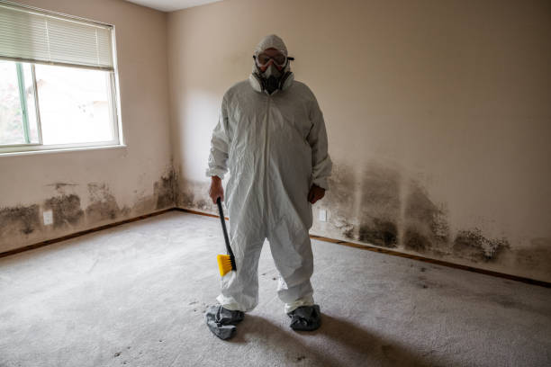 Best Emergency Mold Removal  in Gman, IL