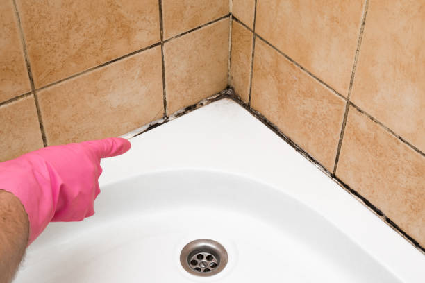 Best Best Mold Removal Companies  in Gman, IL